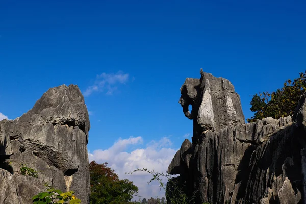 A Stone Forest táj Yunnan. Ez egy mészkő formátum — Stock Fotó