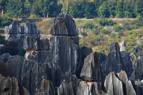 윈난의 돌숲 풍경. — 스톡 사진