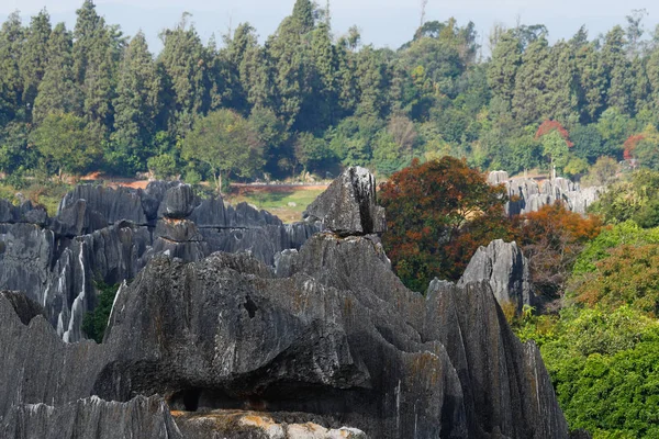 El paisaje del Bosque de Piedra en Yunnan . — Foto de Stock