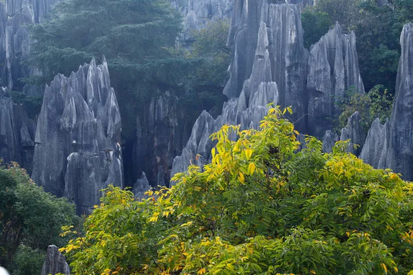 El paisaje del Bosque de Piedra en Yunnan . — Foto de Stock