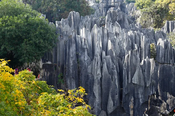 A Stone Forest táj Yunnan. — Stock Fotó