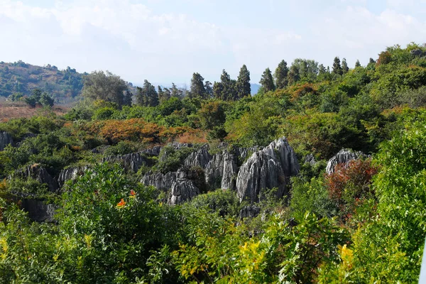 Το πέτρινο δάσος στο Γιουνάν. — Φωτογραφία Αρχείου