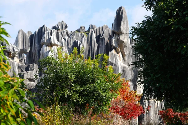Növényzet a Stone Forest a háttérben, Yunnan, Kína — Stock Fotó