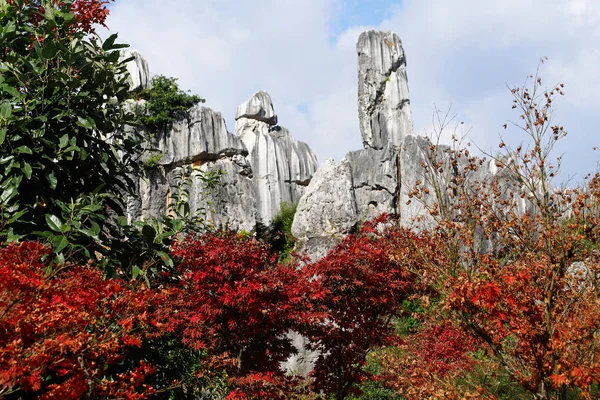 Осінні кольори в кам'яному лісі ландшафту в Юннан. — стокове фото