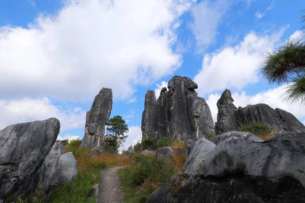 A Stone Forest táj Yunnan. — Stock Fotó