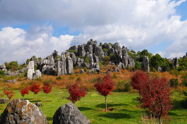 윈난의 돌숲 풍경의 가을색. — 스톡 사진