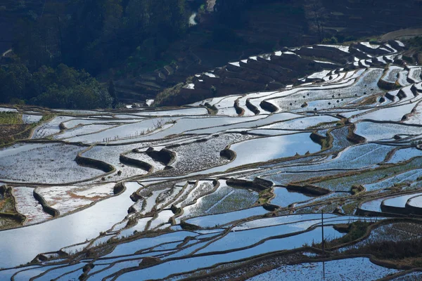 Terrazas de arroz de Yunnan, China. Los famosos campos de arroz en terrazas — Foto de Stock