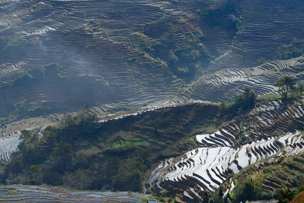 Terrazas de arroz de Yunnan, China. Los famosos campos de arroz en terrazas — Foto de Stock