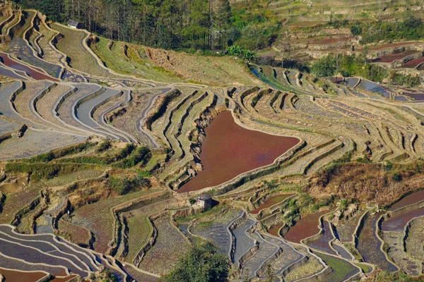 Terrazas de arroz de Yunnan, China. Los famosos campos de arroz en terrazas — Foto de Stock