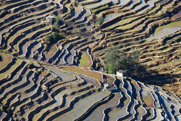 Terrazas de arroz de Yunnan, China. Los famosos campos de arroz en terrazas — Foto de Stock