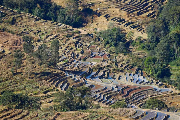 Rice terraces of Yunnan, China. The famous terraced rice fields