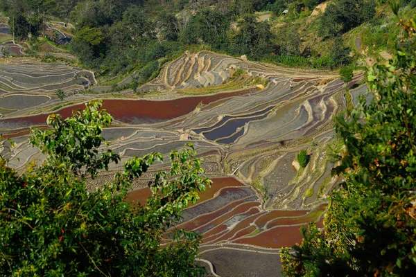 Terrazas de arroz de Yunnan, China. Los famosos campos de arroz en terrazas — Foto de Stock