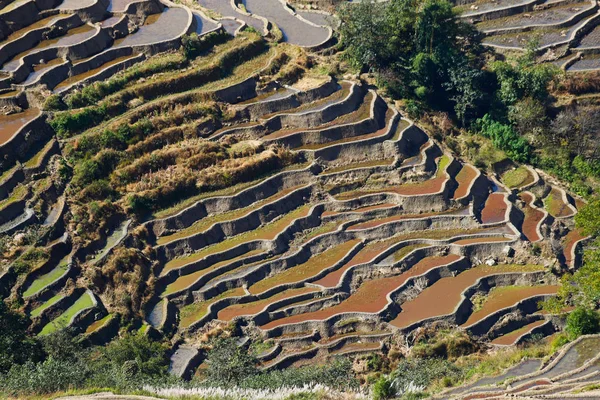 Terrazas de arroz de Yunnan, China. Los famosos campos de arroz en terrazas — Foto de Stock