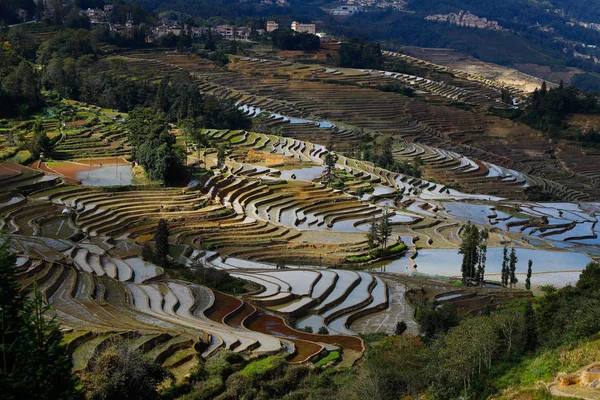 Terrazas de arroz de Yunnan, China. Los famosos campos de arroz en terrazas — Foto de Stock