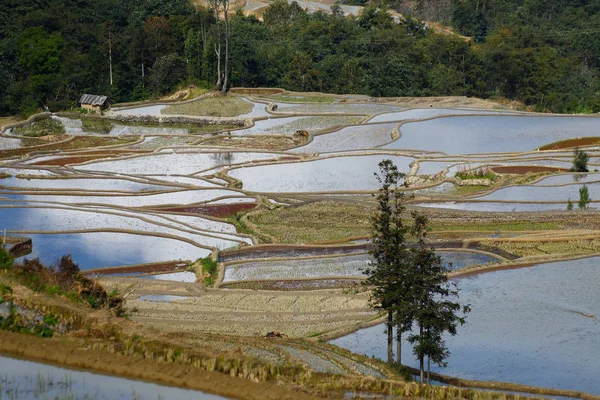 Terrazas de arroz de Yunnan, China. Los famosos campos de arroz en terrazas — Foto de Stock