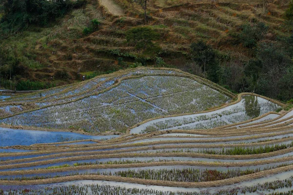 Yunnan, Kína rizsteraszai. A híres teraszos rizsföldek — Stock Fotó