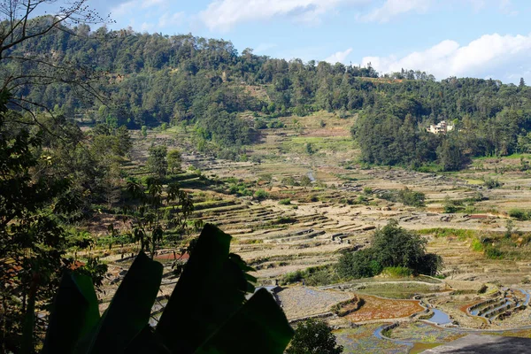 Rijstterrassen van Yunnan, China. De beroemde rijstvelden met terras — Stockfoto