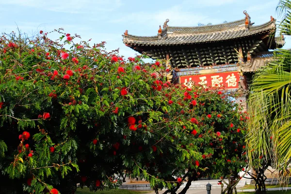 Червоні квіти з храмом Конфуція у фоновому режимі. Це — стокове фото