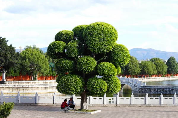 O Jardim no Templo de Confúcio, Jianshui, Yunnan, China — Fotografia de Stock