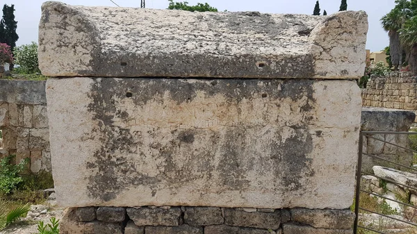 Sarcophage. vestiges archéologiques romains à Tyr. Tyr, Liban — Photo