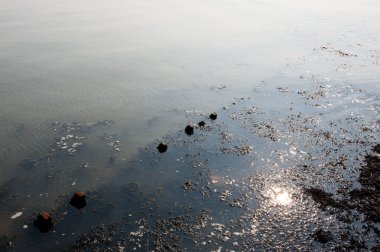 Deniz açık plaj ile 