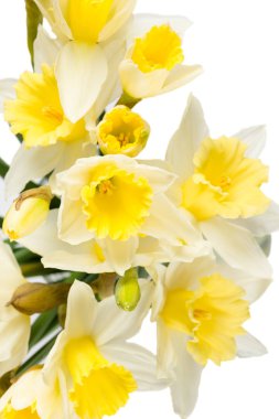 Nergis ile Paskalya kompozisyon