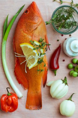 Kırmızı Snapper ile hala hayat 