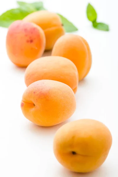 Fresh Apricots White — Stock Photo, Image