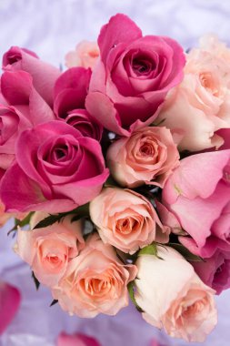 taze gül, hediye kavramı