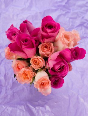 taze gül, hediye kavramı