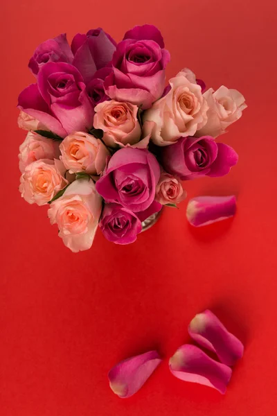 Fresh Roses Gift Concept — Stock Photo, Image