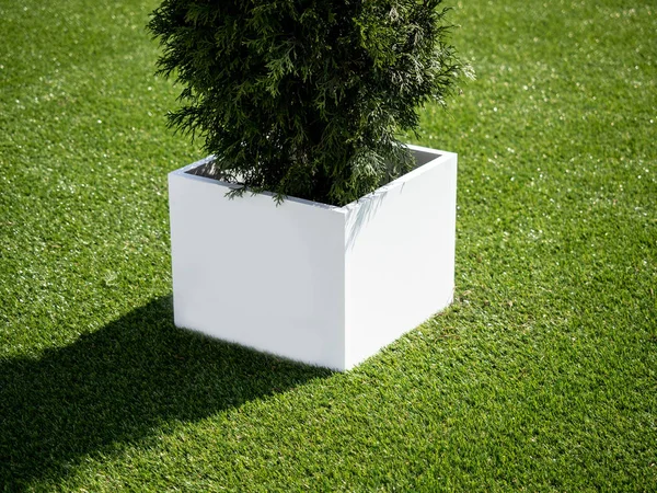 Blank Mock up. Indoor advertising at the fair, event, Public information board hanging of empty white mock up signage. Cubic, squared, box 360 degrees with tree pot on the grass.