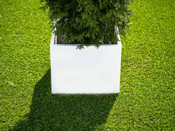 Blank Mock up. Indoor advertising at the fair, event, Public information board hanging of empty white mock up signage. Cubic, squared, box 360 degrees with tree pot on the grass.