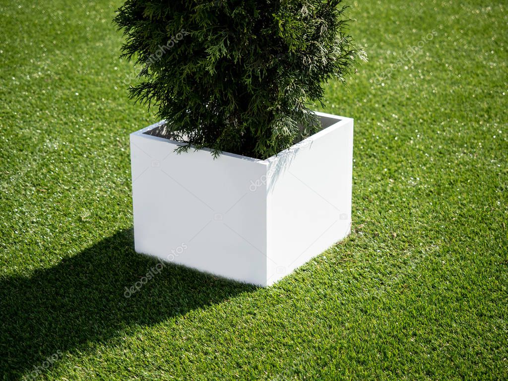 Blank Mock up. Indoor advertising at the fair, event, Public information board hanging of empty white mock up signage. Cubic, squared, box 360 degrees with tree pot on the grass.