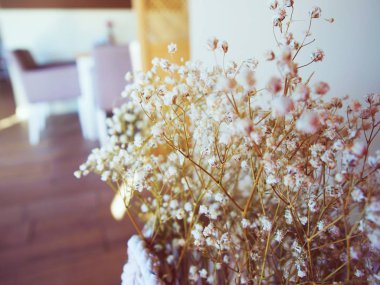 Bebek nefesi, Gypsophila bir restoranda, bulanık arka plan, kafe, kentsel, Vintage, küçük küçük kırılgan çiçekler çiçeklenme, vazo dekorasyon