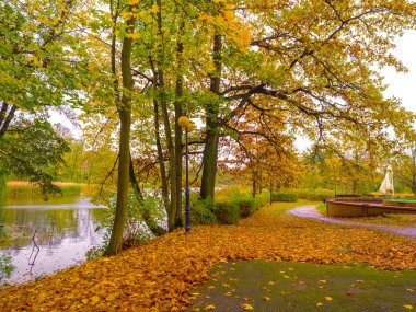 Altın yeşillik aydınlatan sıcak ışık ışınları ile Sonbahar Ormanı sahne, sıcak güneş dolu bir doğal ormanın muhteşem sonbahar manzara, bir parkta güzel romantik sokak.