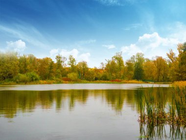 Altın yeşillik aydınlatan sıcak ışık ışınları ile sonbahar orman sahne, sıcak güneş dolu bir doğal ormanın muhteşem sonbahar manzara, bir park ve göl güzel romantik sokak.