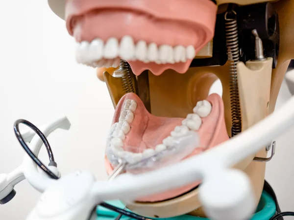 A woman practicing on dental mannequins laboratory at CEDE 2017 - Central European Dental Exhibition in Poznan, Poland, 16 September 2017. Dentist's Education and Training. — Stock Photo, Image