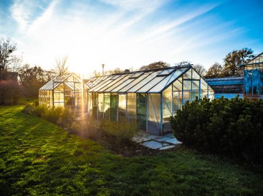 Yaz aylarında bir bahçede sera kaktüs, bitkiler, mavi gökyüzü, Cactus, bitkiler pot ve dekorasyon süsleri Vintage Glasshouse