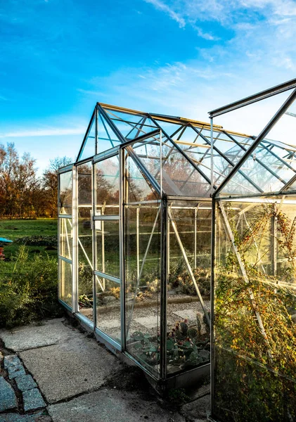 Greenhouse in a garden in the summer with cactus, plants, blue sky, Cactus, plants pot and decoration ornaments in vintage glasshouse — Stock Photo, Image