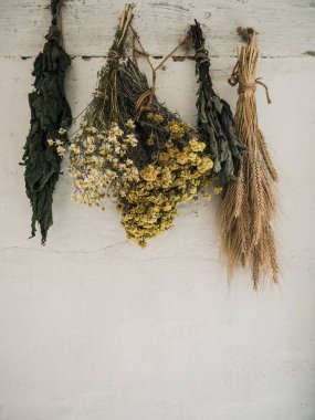 Kurutulmuş otlar, baharatlar ve çiçekler, doğal bitkisel tıp, geleneksel