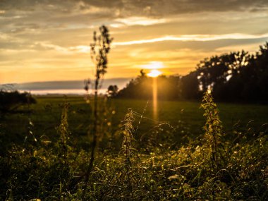 Gün batımı alan arka planda gün batımı çim, bir güneş ve sarı altın gökyüzü ile ormanda çim alanı.