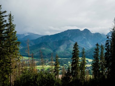 Dağ Orman ağaçları ve bulutlu gökyüzü ile güzel bir görünüm.
