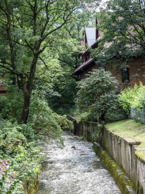 Küçük bir kanal ve ağaçlar, orman kırlarda ve çayır, Avrupa'nın hava güzel.