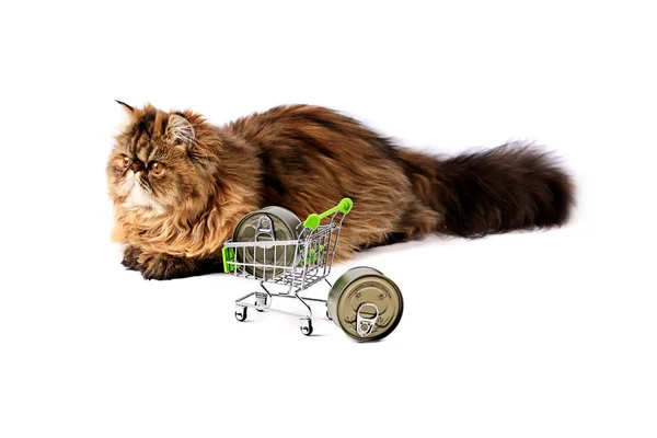 Beyaz arka plan üzerinde izole arabası alışveriş konserve gıda ile kedi