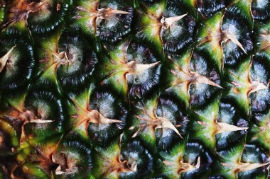 ananas kabuklu yakın makro yukarı