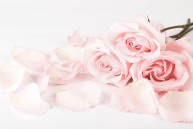 Yavaşça pembe Gül retro tarzı. Düğün eski püskü şık arka plan