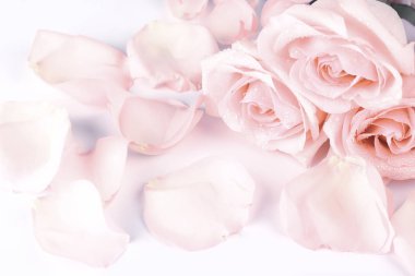 Yavaşça pembe Gül retro tarzı. Düğün eski püskü şık arka plan