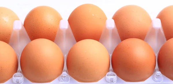 Куриные яйца изолированы на белом фоне. 10 яиц в лотке — стоковое фото