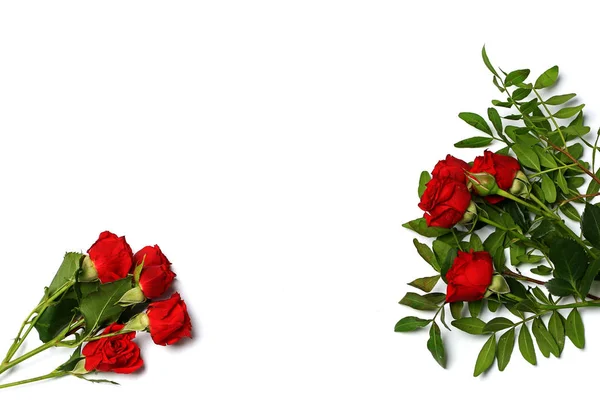 Red roses bouquet isolated on white background — Stock Photo, Image